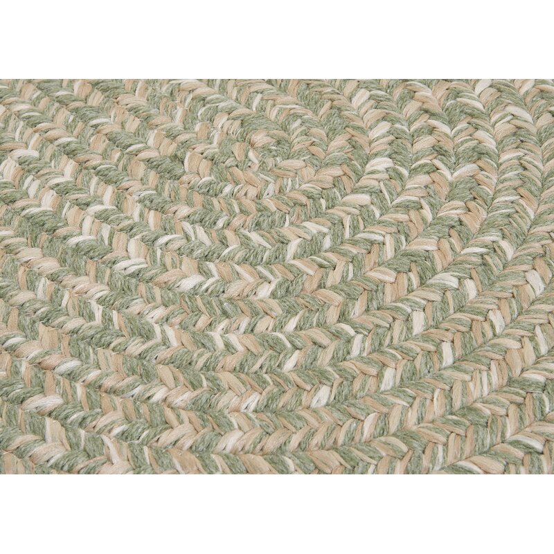 Bay Isle Home Ken Braided Sage Green Area Rug & Reviews Wayfair